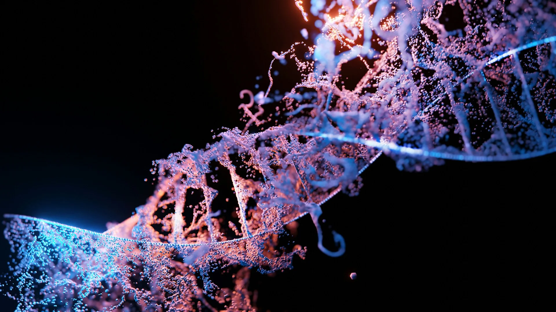 Healthcare