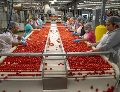 Food and Beverage Industry